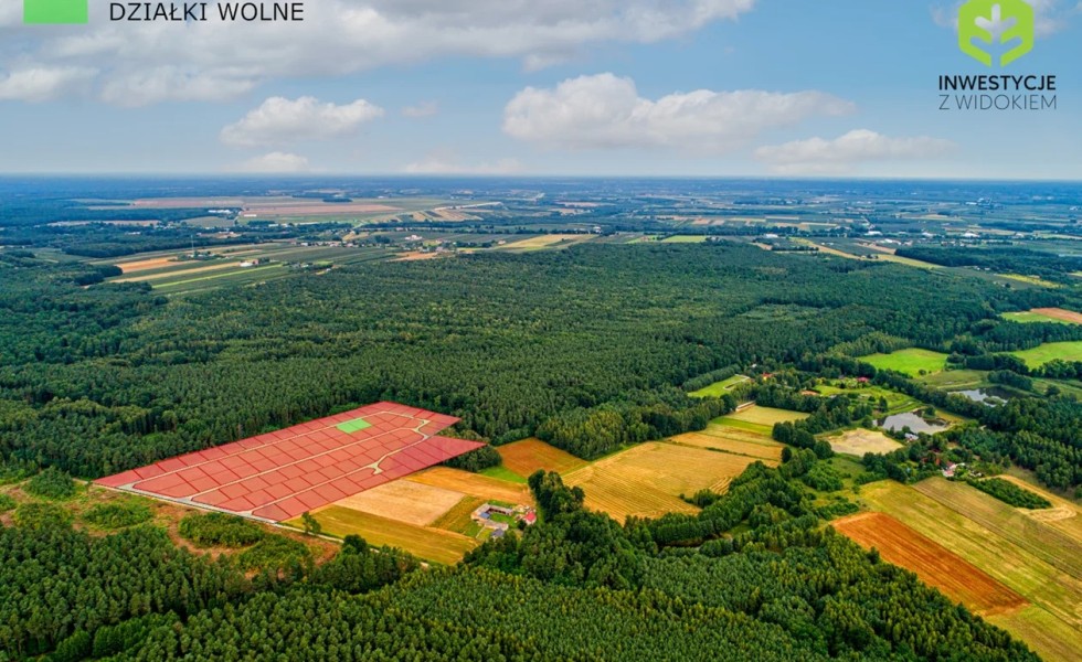 Kształtne działki otulone z 3 stron lasem 