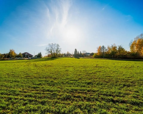 Działki w sąsiedztwie miasta i lasu