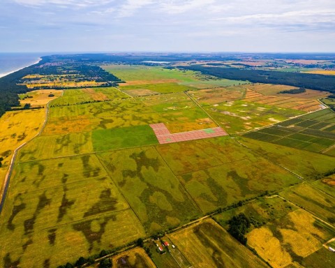 Teren nad polskim morzem