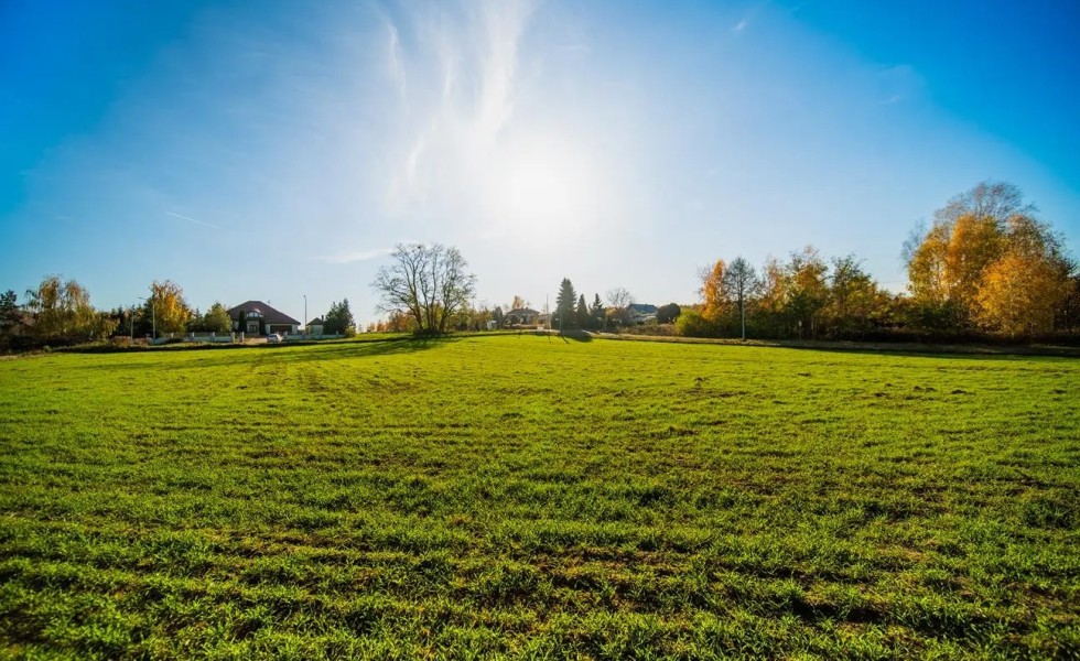 Działki w sąsiedztwie miasta i lasu