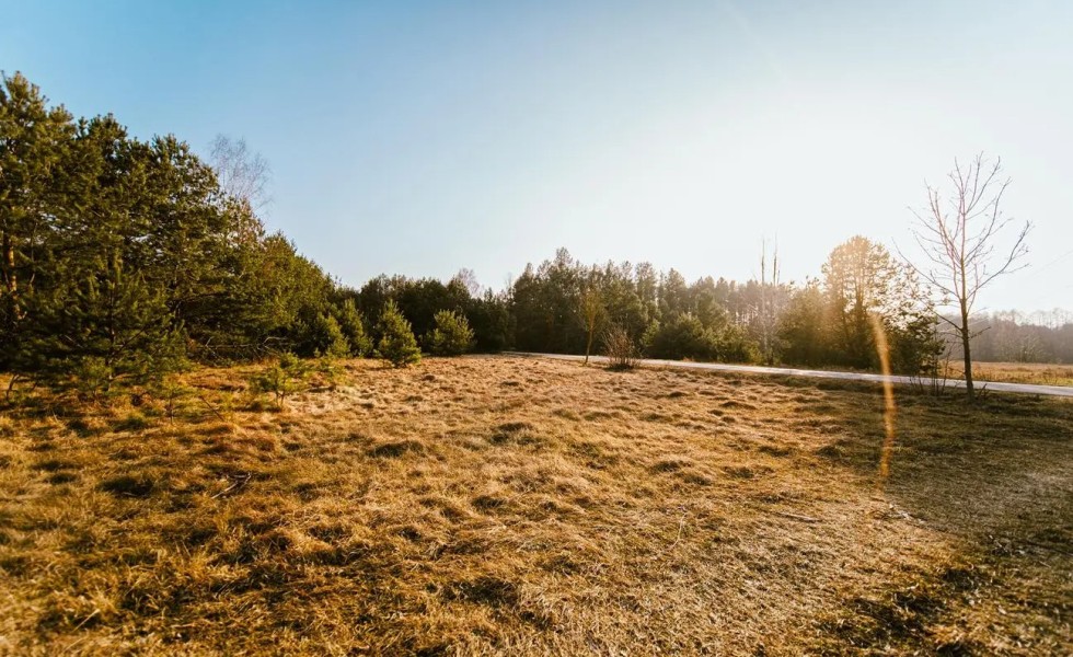 Działki w sąsiedztwie miasta i lasu