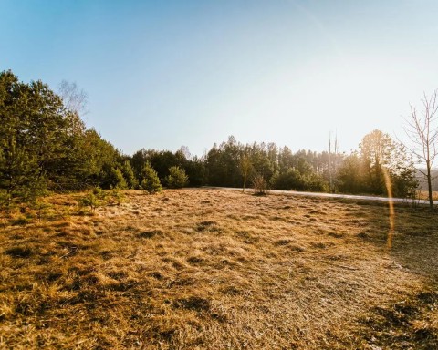 Działki w sąsiedztwie miasta i lasu
