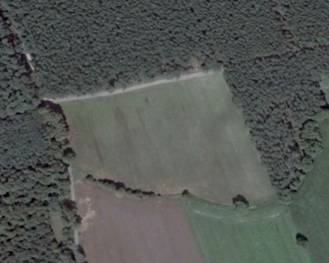 Młodzikówko - Zdjęcie przed