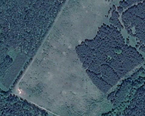 Ruś - Zdjęcie przed