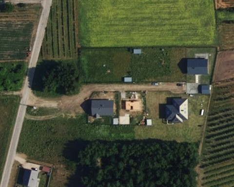 Lesiew - Zdjęcie po