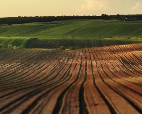 Przekształcenie działki rolnej w budowlaną