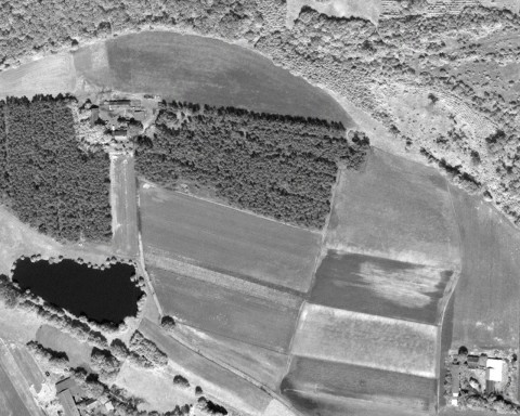 Sulęcinek - Zdjęcie przed