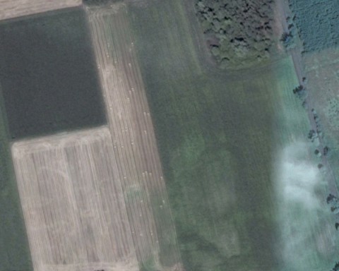 Murzynowo Leśne - Zdjęcie przed