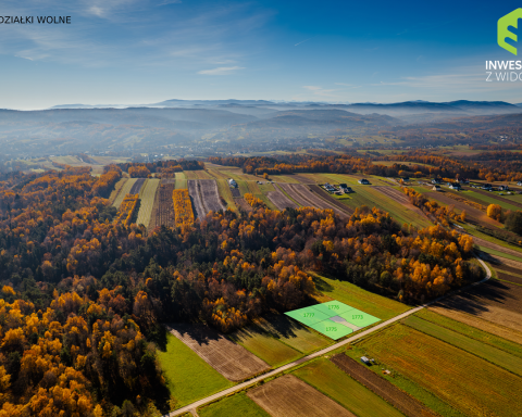 Kameralne działki budowlane przy lesie
