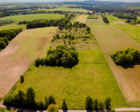 Działki otoczone lasem 40% taniej