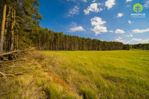 działki nad Odrą